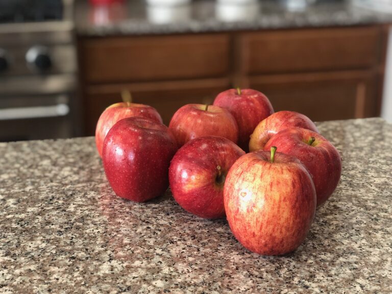 Homemade Applesauce Pouches